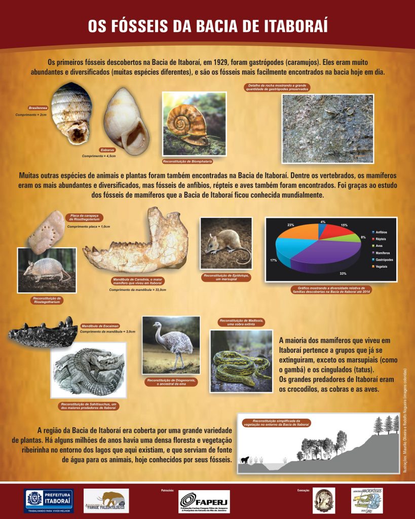 Placa - Os Fósseis da Bacia de Itaboraí (Paleontologia)